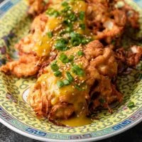 Special Combination Chicken Egg Foo Young price
