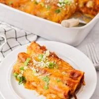 Appetizers Cheese Enchilada price