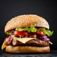 The Burgers & Sandwiches Hamburger price