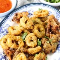China Star USA Menu-Appetizers Salt & Pepper Calamari & Asparagus menu