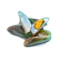 Juicy Seafood Green Mussel price