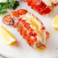 Mayflower Menu - Allergen Free Menu Boiled Lobster price