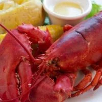Mayflower Menu - Lobster 1 1_4 Pound Boiled Lobster price