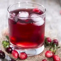 Mayflower Menu - Soft Drinks Cranberry Juice price