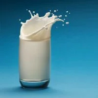 Mayflower Menu - Soft Drinks Milk menu
