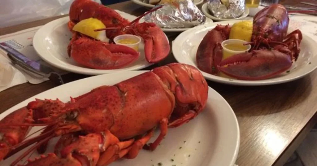 Mayflower Menu USA Lobster menu