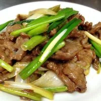 China King USA Menu - Beef Beef with Scallions menu