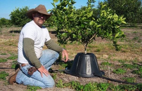 Tree T-PEE Net Worth