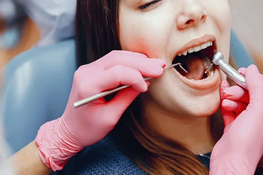 Teeth