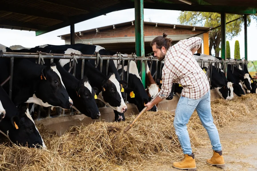 Practical Farm Structure