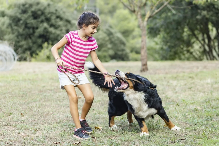 Dog Bite