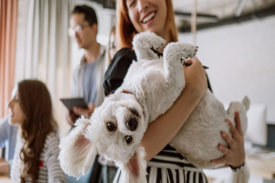 Pest Control In Pet Boarding Facilities Essential Strategies For A Safe Environment
