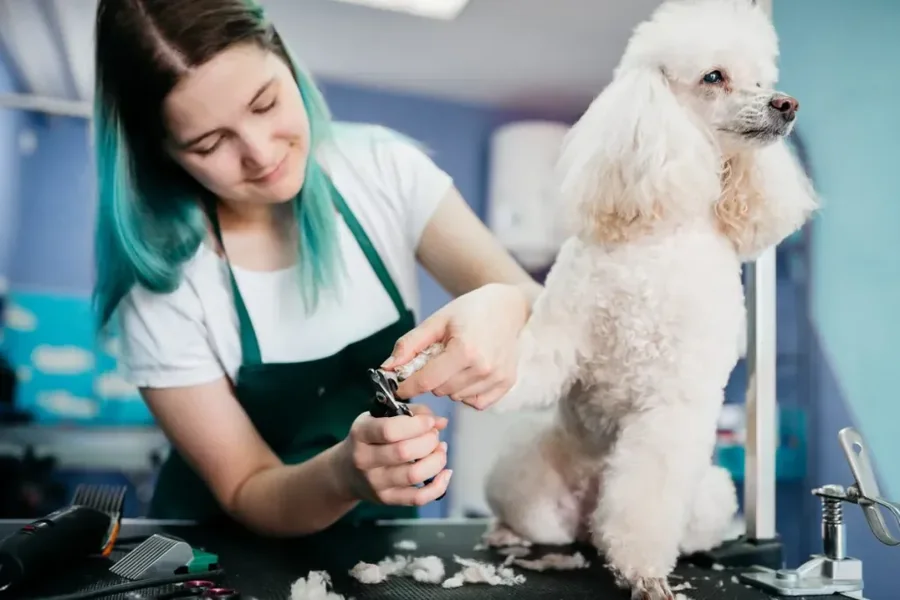Happier Pets