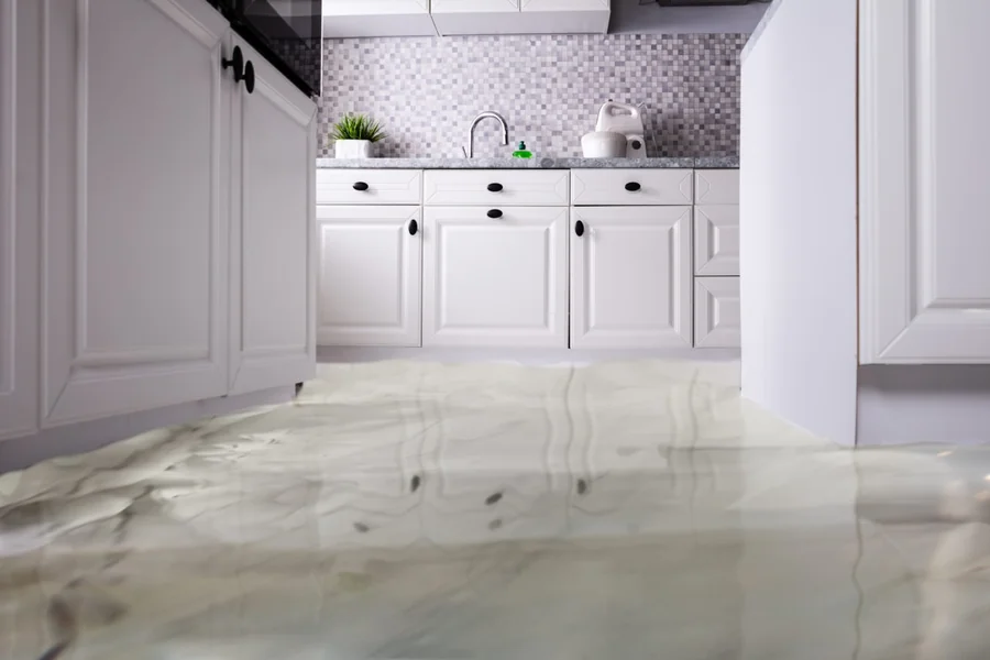 From Burst Pipes to Brand‑New Interiors How One Call Can Save Your Home