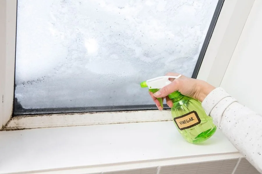 Why Professional Mold Testing is Crucial for Your Home’s Health
